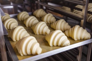 Önceden hazırlanmış kruvasan hamuru.