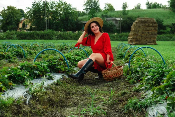 Happy Woman Farm Put Strawberries Basket Eco Tourism Concept — Stock Photo, Image