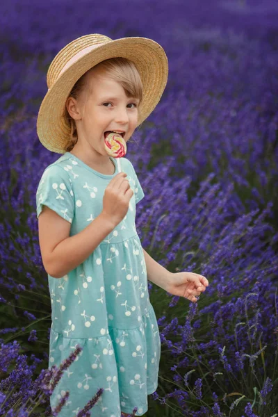Little Girl Straw Hat Eats Lollipop Lavender Field — Stock Photo, Image