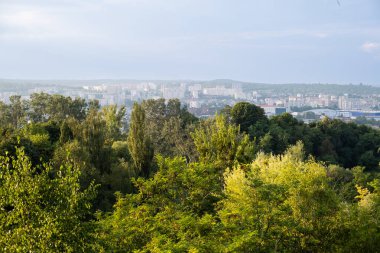 Arka plandaki şehir ormanlarının panoramik görüntüsü Boşluğu kopyala