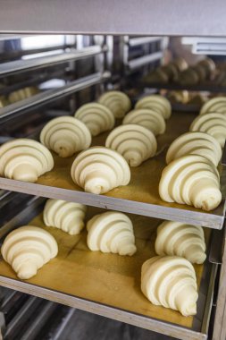 Kurabiye kağıdında ayçöreği var.