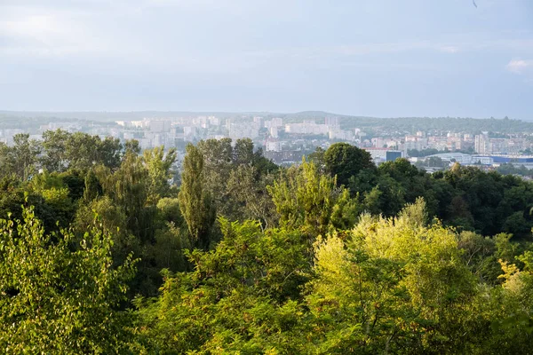 Panoramic View City Forest Trees Background Copy Space — Stock Photo, Image