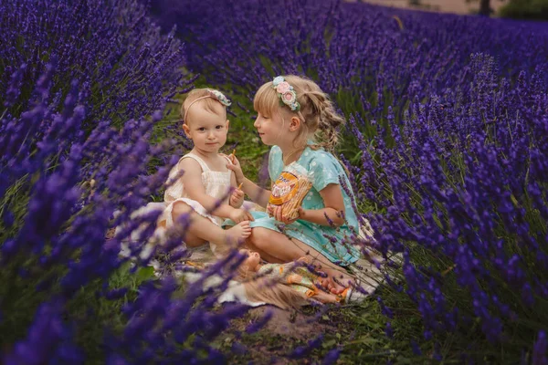 Two Little Sisters Picnic Lavender Field — Stock Photo, Image