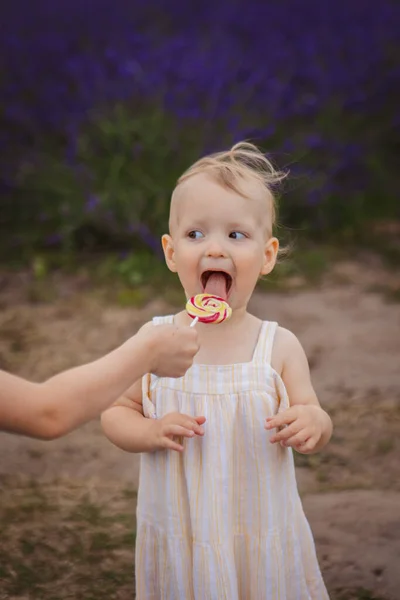 little girl licks a lollipop on a stick
