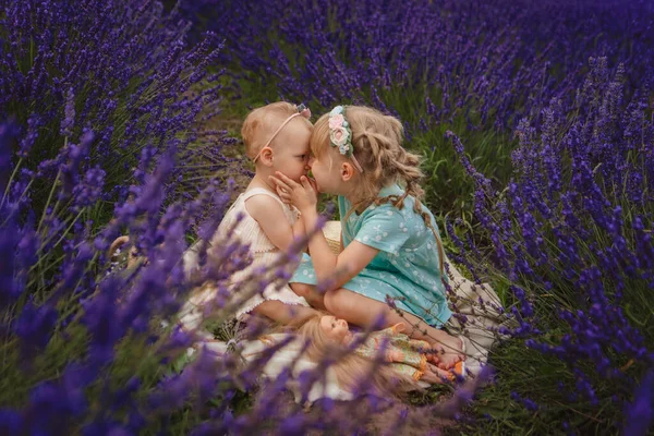 Two Little Sisters Picnic Lavender Field — Stock Photo, Image