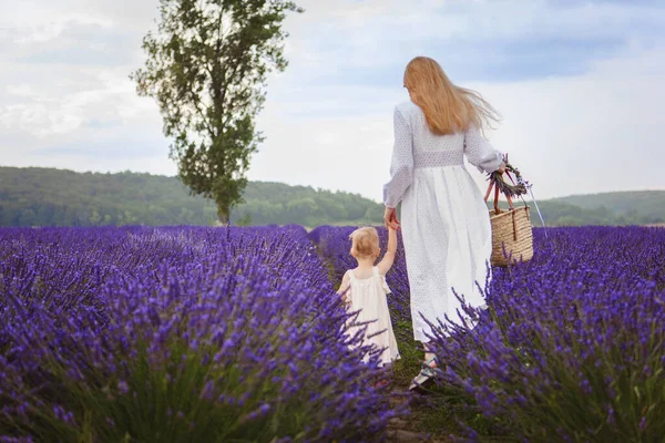 Walking Field Lavender Her Little Daughter Mother Can Seen Caring — Stock Photo, Image