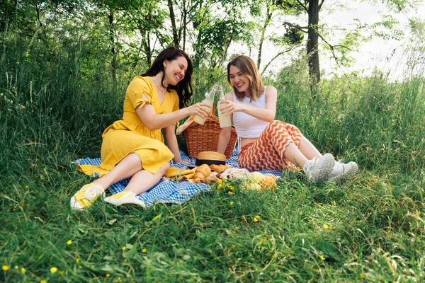 Women Blanket Relishing Lemonade Bottles Picnic — Stock Photo, Image