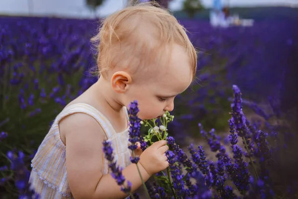 Her Favorite Part Lavender Flowers Smelling Them Enjoying Smell — Stock Photo, Image