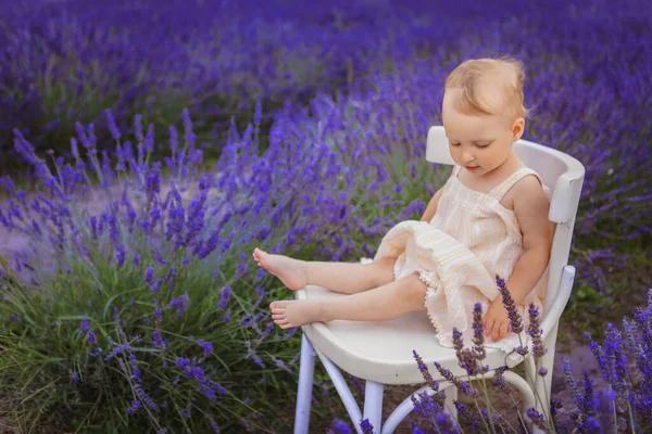 Girl Sitting White Chair Lavender Field — Stock Photo, Image