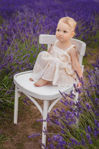Image Girl Sitting White Chair Lavender Field Can Seen Here — Stock Photo, Image