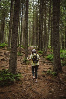 Ağaçların ortasında sırt çantalı bir turist