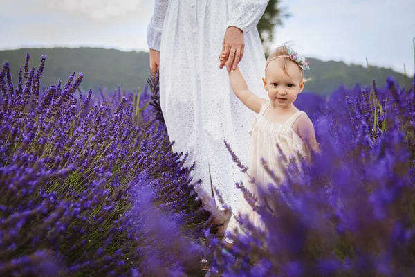 Girl Her Mother Walking Field Lavender All Sudden — Stock Photo, Image
