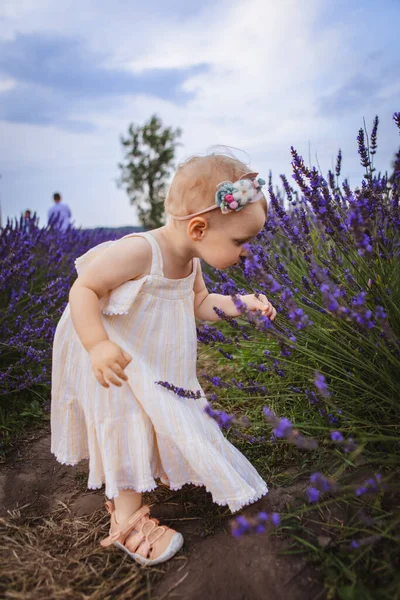 She Likes Smell Lavender Flowers She Smells Them Lot — Stock Photo, Image