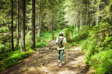 Sırt çantalı Ormanda Turist