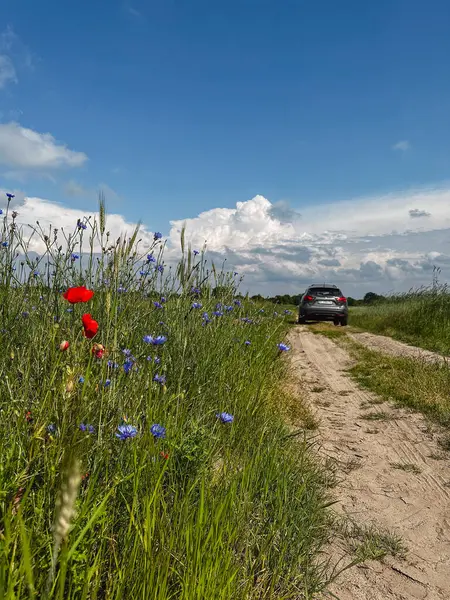 Suv Car Trail Road Field Blooming Flowers Front — Stock Photo, Image