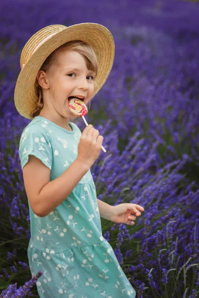 Girl Straw Hat Eats Lollipop Lavender Field — Stock Photo, Image