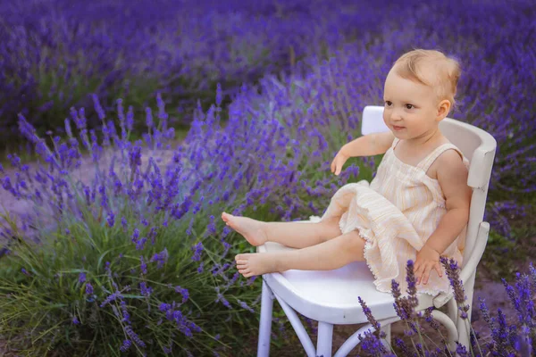 See Girl Sitting White Chair Middle Lavender Field — Stock Photo, Image