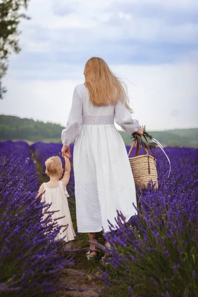 Lovely Day Lavender Field Mother Walks Her Little Daughter — Stock Photo, Image