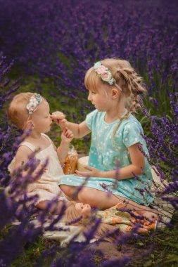 İki küçük kız kardeş lavanta tarlasında piknik yapıyorlar.