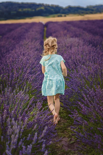 Barefoot Girl Runs Lavender Field Rear View — Stock Photo, Image