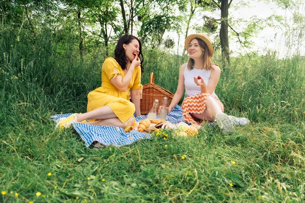 Couple Women Eat Strawberries Blue Blanket Picnic Nature — Stock Photo, Image