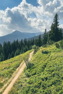 Karpat Dağları güneşli bir gün