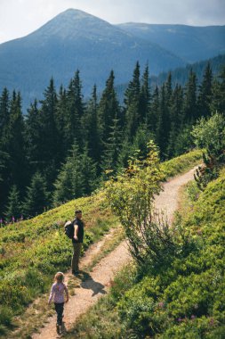 Arka plandaki orman patikalarında sırt çantalı bir adam fotokopi uzayında