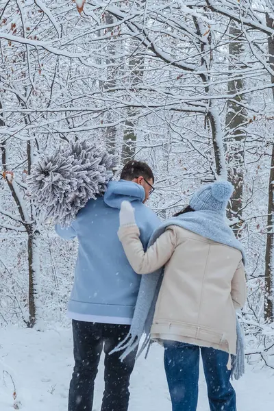 couple walks through winter forest. man holds a snow-covered Christmas tree on his shoulder