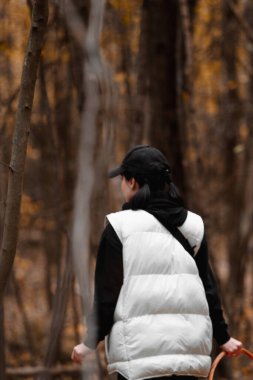 Sonbahar ormanlarında sonbahar ormanlarında mantar arayan bir kadın.