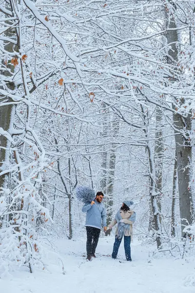 Téli Erdőben Pár Együtt Sétál Karácsonyfa Van Vállán — Stock Fotó