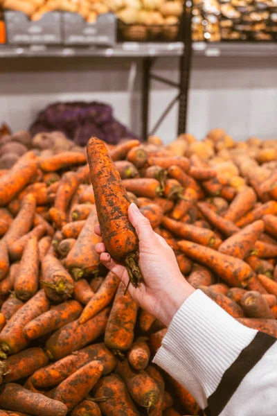 hand taking carrot from grocery store shelf copy space
