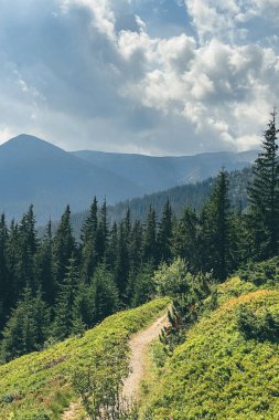 Karpat Dağları güneşli bir gün