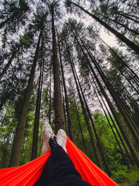 pov woman in hammock in pine trees forest copy space