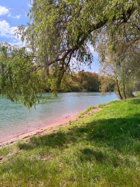 Yeşil çimleri, ağaçları ve nehri olan bir manzara.