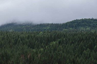 mountain in the cloud. morning time