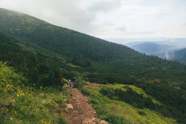 Dağ yolunda doğa yürüyüşü konsepti