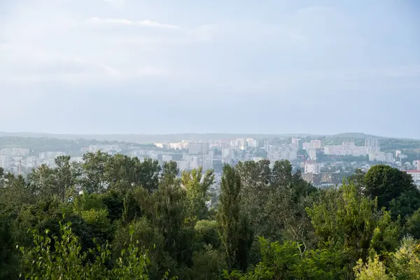 Panoramic View of city forest trees on background Copy space
