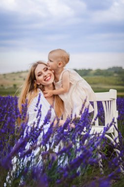 In a lavender field, a mother hugs her daughter as she stands on a white chair. clipart