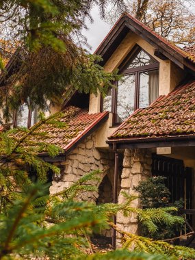 Sonbahar sezonu fotokopi alanındaki caddelerin manzarası