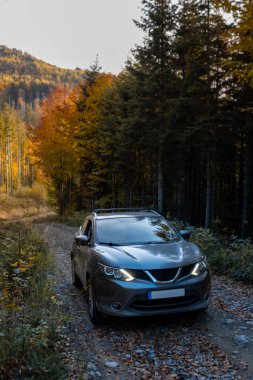 Karpatya dağlarında Sonbahar çakıl yolunda bir SUV