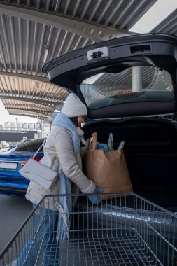 Kadın alışveriş konseptine yiyecek yüklüyor.