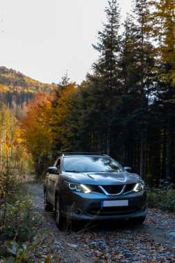 Karpatya dağlarında Sonbahar çakıl yolunda bir SUV