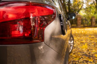 Gri Arabalı Sonbahar Sahnesi ve Yapraklar