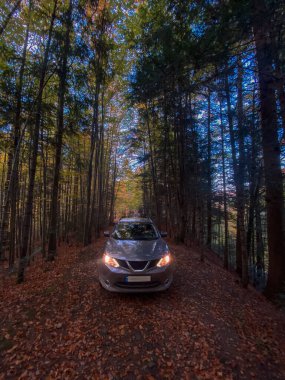 Autumn Forest Yolu 'ndaki araba kopyalama alanı
