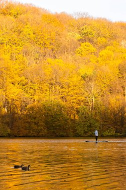 Güz yapraklarıyla çevrili sakin bir gölde kürek çeken biri..
