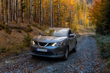 Karpatya dağlarında Sonbahar çakıl yolunda bir SUV