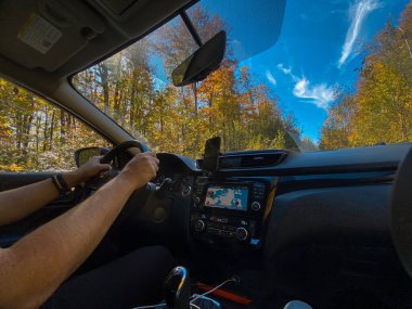 Manzaralı Orman Yolu 'nda Sürüş Kopya Boşluğu