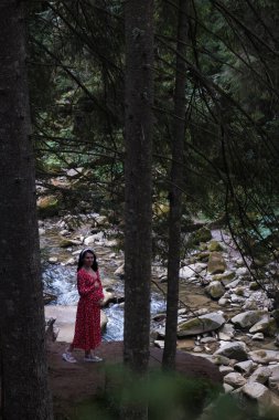 Serene Forest River 'ın yanındaki Kırmızı Elbiseli Hamile Kadın