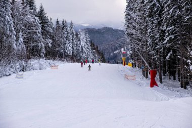 Karlı bir yamaçta kayakçılar Pines Kopyalama Alanıyla çevrili