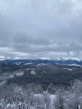Bulutlu Gökyüzü Altında Karla kaplı Tepeler Ukrayna Karpatı